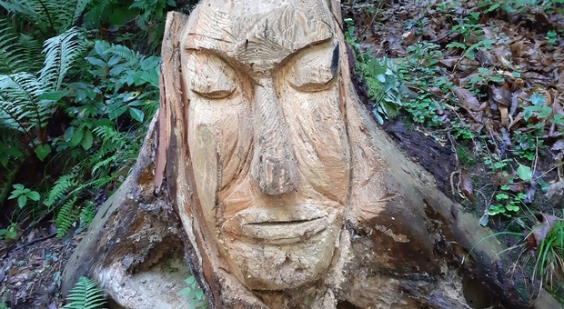 Colmen sculture nel bosco