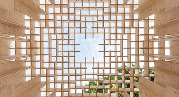immagine Il futuro è del legno: alla Casa dell'Architettura la mostra The Forests of Venice