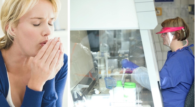 Covid, nuova ricerca degli scienziati americani: «Il normale raffreddore può proteggere dal virus»