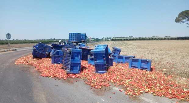 Camion perde il carico di sei tonnellate di pomodori: automobilisti si fermano per raccoglierli. Traffico nel caos