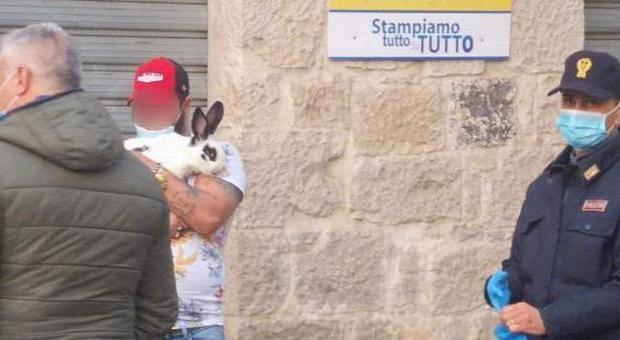 Fondi, sorpreso a passeggiare in centro si giustifica: «Porto a spasso il mio coniglio». Multato dalla polizia Fondi, sorpreso a passeggiare in centro si giustifica: «Porto a spasso il mio coniglio». Multato dalla polizia