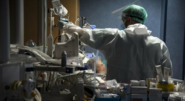 Covid, trapianto di fegato da un donatore a paziente positiva affetta da tumore: operazione riuscita in Sicilia