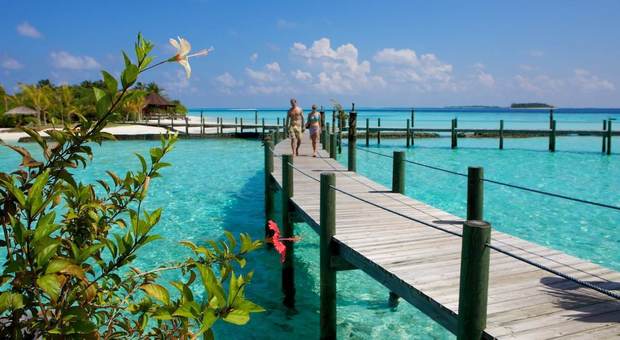 Cercasi libraio per un'isola delle Maldive: i requisiti per il lavoro dei sogni