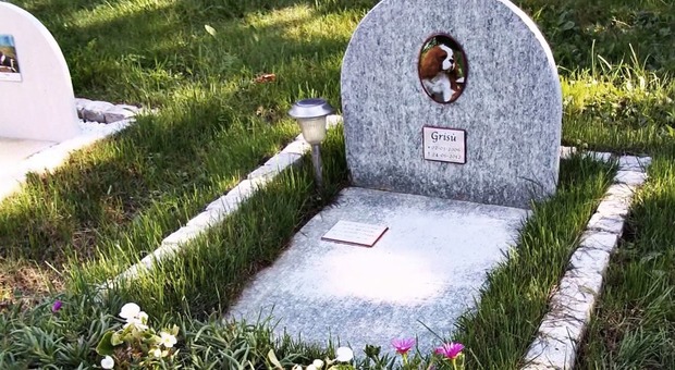 Nel Salento il primo cimitero per animali: cani e gatti seppelliti accanto ai padroni. Ecco dove sarà realizzato