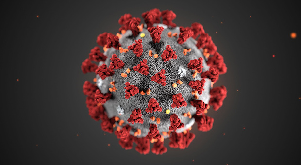 Coronavirus, l'Organizzazione Mondiale per la Sanità: «Adesso è una pandemia»