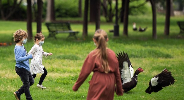 Coronavirus, misteriosa sindrome infiammatoria colpisce i bambini. Il pediatra Villani: «Monitoriamo» Coronavirus, misteriosa sindrome infiammatoria colpisce i bambini. Il pediatra Villani: «Monitoriamo»