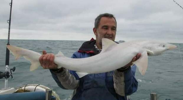 Lo squalo albino pescato e rilasciato in Gran Bretagna (immagini pubbl da Offshore Angler su Fb)
