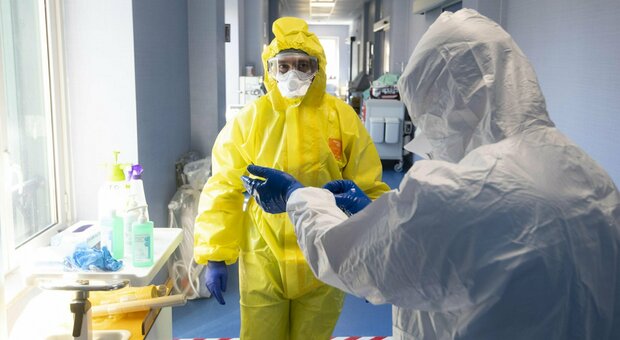 Covid in Piemonte, il bollettino: 906 contagi ma zero vittime nelle ultime 24 ore Covid in Piemonte, il bollettino: 906 contagi ma zero vittime nelle ultime 24 ore