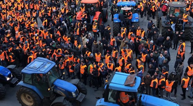 Gilet arancioni, la protesta di tremila agricoltori a Bari Gilet arancioni, la protesta di tremila agricoltori a Bari