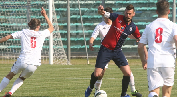 Denis Pesaresi, 28 anni, attaccante della Vigor Senigallia