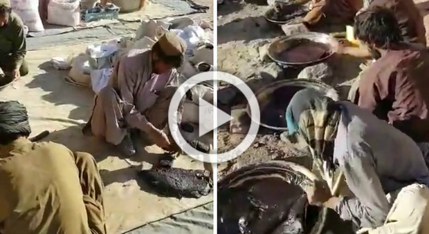 Dalla pianta al prodotto finito, ecco come in Afghanistan producono hashish -Guarda