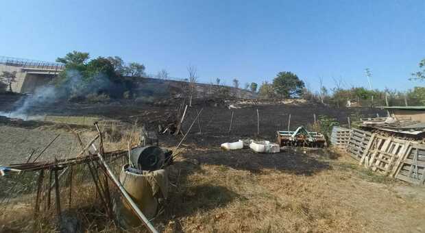 Un ettaro di vegetazione in fiamme: indagini in corso, presunte cause colpose