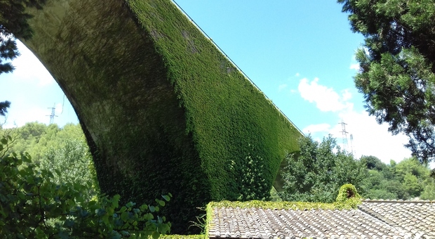 Ponte "nuovo" sulla Tiberina a Narni Ponte "nuovo" sulla Tiberina a Narni