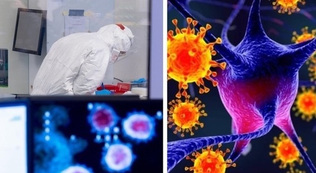 Langya, il nuovo virus scoperto in Cina: i sintomi per riconoscerlo (affaticamento, febbre) e quali rischi