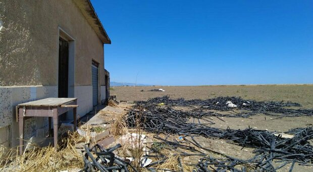 Padre e figlio uccisi nelle campagne di Cerignola: corpi trovati in sacchi di plastica sotto i rifiuti