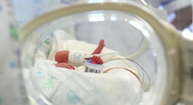 Bimbo di 5 mesi non si addormenta, la mamma lo scuote troppo forte. I medici valutano la morte cerebrale Bimbo di 5 mesi non si addormenta, la mamma lo scuote troppo forte. I medici valutano la morte cerebrale