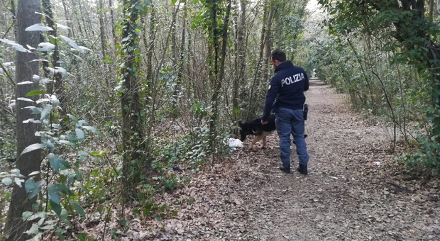 Pesaro, pusher sempre più creativi: trovata marijuana nascosta sull'albero Pesaro, pusher sempre più creativi: trovata marijuana nascosta sull'albero