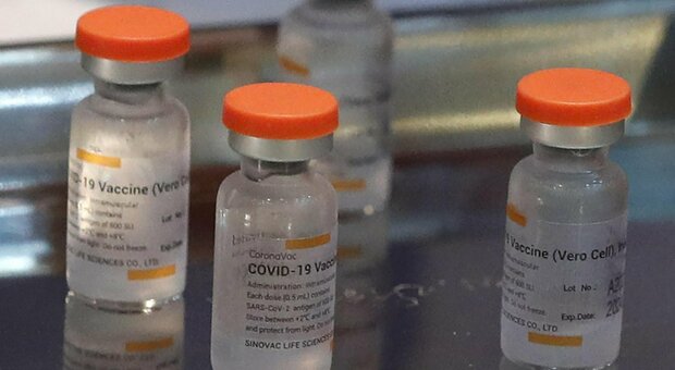 Il vaccino Sinovac è «sicuro ed efficace». L'Oms autorizza il farmaco cinese