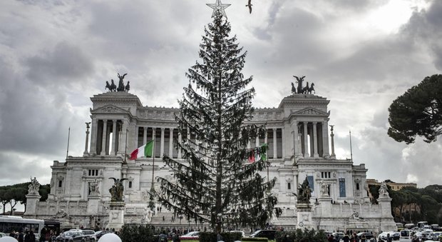 Roma, «Spelacchio è nato morto»: indagine su chi l'ha ucciso