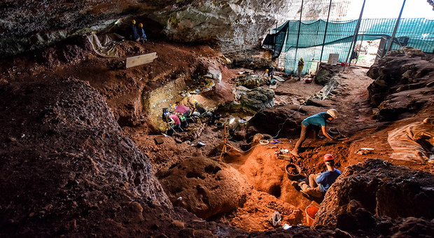 Salento preistorico: a Grotta Romanelli scoperti dipinti di pinguini e buoi. Così vivevano i nostri antenati