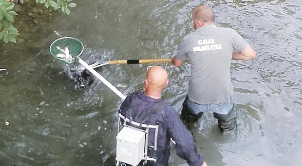 Torrenti senz'acqua: volontari con elettro-storditori e vasche ossigenate per salvare i pesci