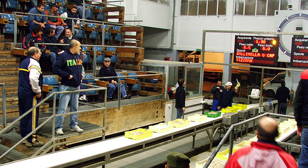 Il mercato ittico Il mercato ittico