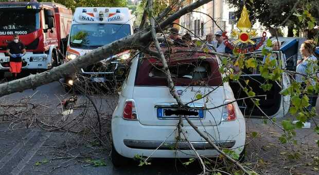 Albero crolla su una Fiat 500: paura nel cuore di Roma