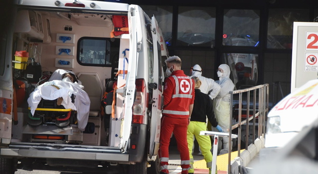 Genova, neonato morto schiacciato sull'autobus dopo una frenata: era nel marsupio della mamma