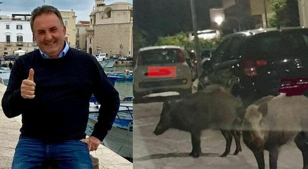 Tragedia nel Foggiano: imprenditore agricolo muore in un incidente con n branco di cinghiali