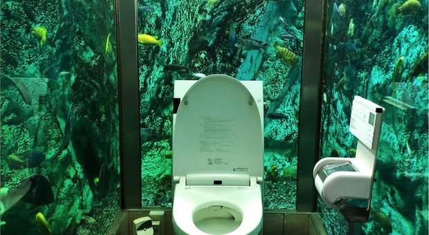 La toilette dell' Hipopo Papa Cafe di Akashi (foto del profilo Instagram yuri.kiwi)