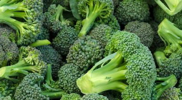Cavoli e broccoli contro l'ictus: possono dissolvere gli emboli