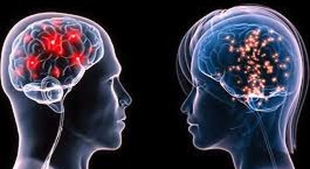 Cervello, quello dell'uomo si orienta bene nello spazio, quello della donna ha più memoria: ecco le differenze