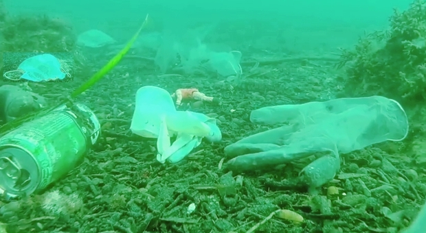 Tonnellate di guanti e mascherine nel Mediterraneo. La denuncia di una associazione ambientalista in un video (immagini pubbl da Opération Mer Propre su Fb) Tonnellate di guanti e mascherine nel Mediterraneo. La denuncia di una associazione ambientalista in un video (immagini pubbl da Opération Mer Propre su Fb)