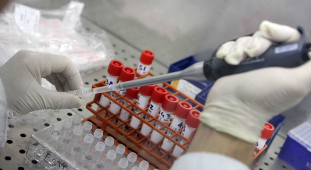 Coronavirus, il plasma dei guariti funziona: «A Mantova 80 pazienti trattati e zero decessi»
