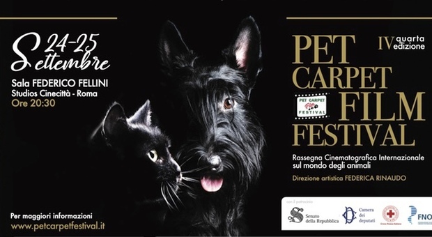Pet Carpet Film Festival, kermesse cinematografica sul mondo animale: conducono Jimmy Ghione e Edoardo Stoppa