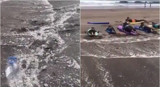 Tenerife, spiaggia invasa dalla plastica: la disperazione degli attivisti Tenerife, spiaggia invasa dalla plastica: la disperazione degli attivisti