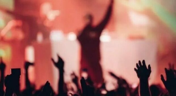 video_trap_roma video_trap_roma