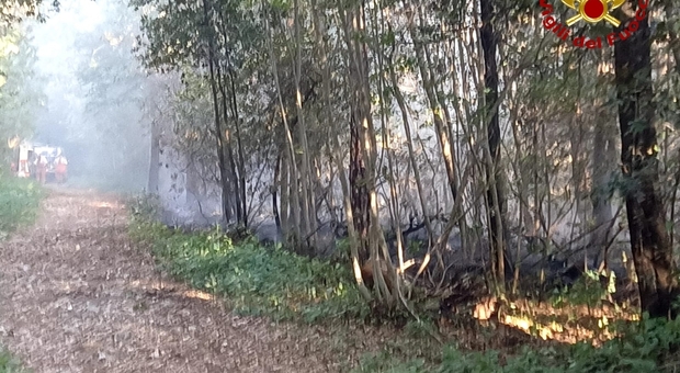 A fuoco il bosco Bazzoni, i pompieri scongiurano l'espandersi delle fiamme alla foiba di Basovizza