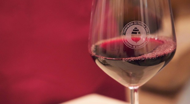 Falsi Primitivo in Cile, Portogallo e nel nord Italia: «Potenziamo i controlli sui nostri vini» Falsi Primitivo in Cile, Portogallo e nel nord Italia: «Potenziamo i controlli sui nostri vini»