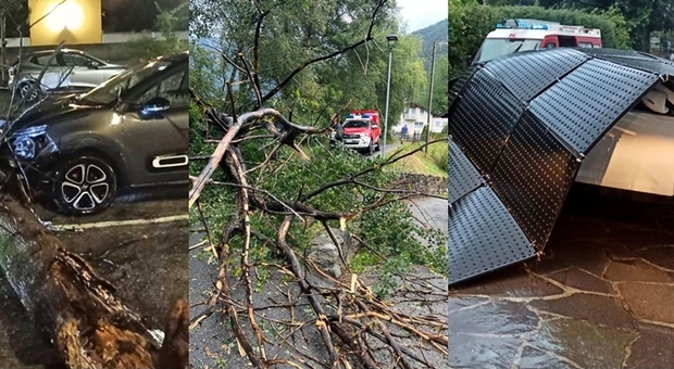 Maltempo, al Nord Nubifragi e alberi caduti: disagi treni a Milano e Pavia. Cosa succederà nei prossimi giorni