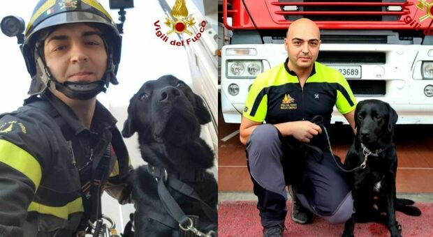 Tyson, il cane soccorritore dei vigli del fuoco è gravemente malato: ma lo Stato non paga le cure