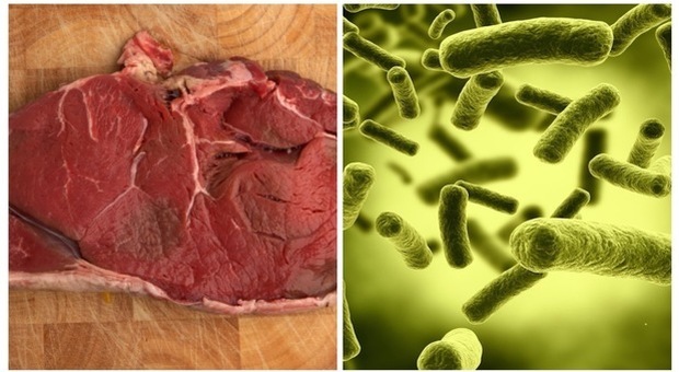 Listeria, i consigli per evitare le intossicazioni: cuocere gli alimenti a più di 65 gradi Listeria, i consigli per evitare le intossicazioni: cuocere gli alimenti a più di 65 gradi