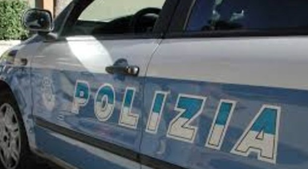 Salerno, topi d'appartamento fanno visita a Natale: rubati oro, pc e passaporti Salerno, topi d'appartamento fanno visita a Natale: rubati oro, pc e passaporti