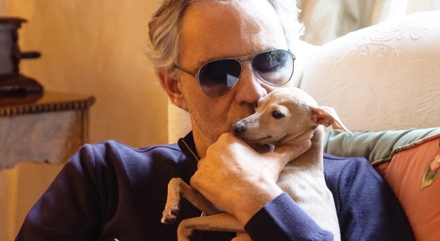 Andrea Bocelli, il suo cane scivola dalla barca e sparisce. L'appello del cantante: «Aiutateci a ritrovare Pallina» Andrea Bocelli, il suo cane scivola dalla barca e sparisce. L'appello del cantante: «Aiutateci a ritrovare Pallina»