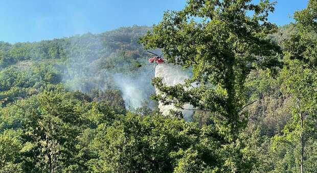 Montecchio, incendio nei boschi di Melezzole. Il fuoco ha covato per giorni sotto la cenere e con il vento ha ripreso a bruciare