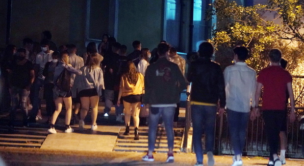 L'appello delle discoteche: «No alla movida selvaggia, fateci aprire in sicurezza» L'appello delle discoteche: «No alla movida selvaggia, fateci aprire in sicurezza»