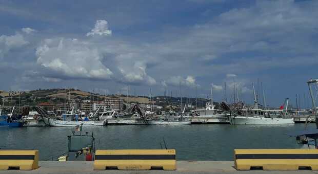 Pescatori, spiraglio per Porto San Giorgio: «I rincari? Costi raddoppiati per il gasolio, ma noi teniamo duro»