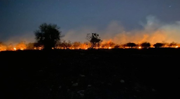 Melissano, fuoco lambisce le case. In un mese 33mila interventi dei vigili del fuoco: Puglia più colpita dopo la Sicilia