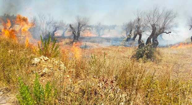 Incendi nel Salento: evacuate diverse abitazioni