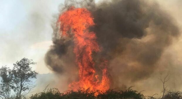 Puglia, pomeriggio di roghi: due incendi nel Tarantino, uno a Gallipoli